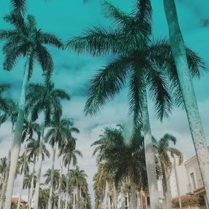 Meet your Posher, Colin